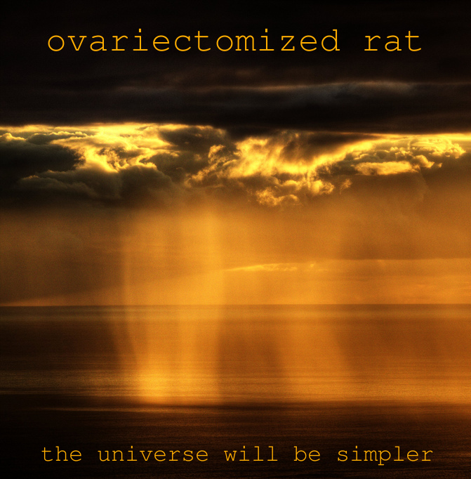 ovariectomized rat